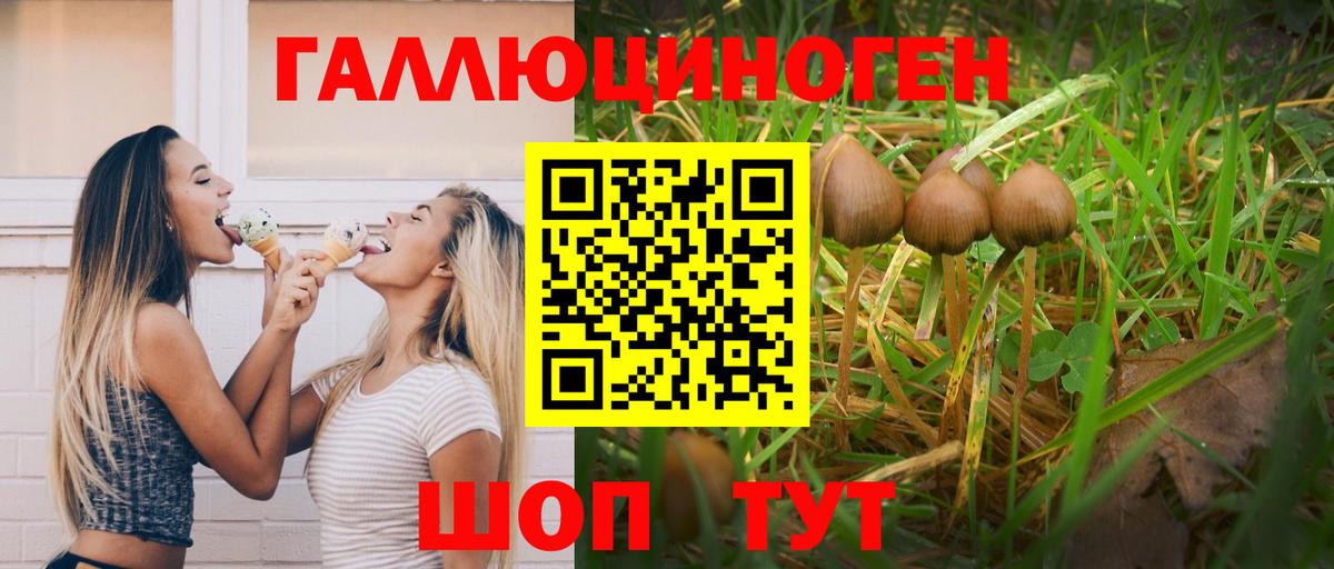 как найти наркотики  Псилоцибиновые грибы GOLDEN TEACHER  Вход с VPN  Лосино-Петровский 