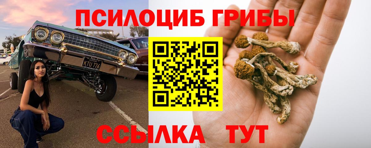 Галлюциногенные грибы Psilocybine cubensis Лосино-Петровский